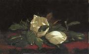 Martin Johnson Heade Magnolia Buds oil on canvas